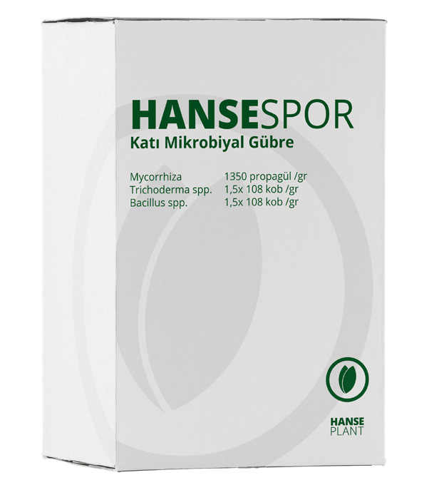 HANSESPOR